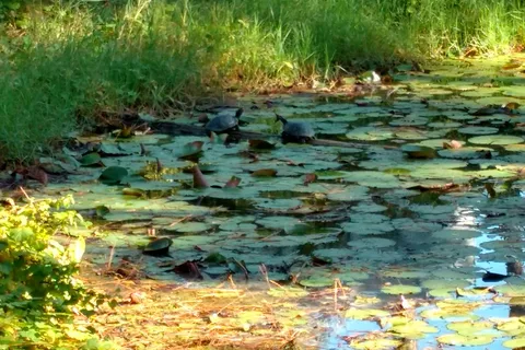 Raccoon River Camp Resort