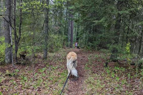 Bear Head Lake State Park