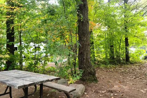 Bass Lake Provincial Park