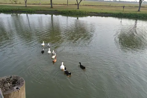 Squawk and Skedaddle RV Park and Campground