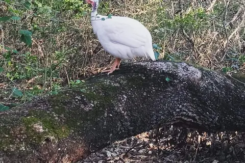 Squawk and Skedaddle RV Park and Campground