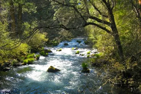 Burney Falls Resort RV Park