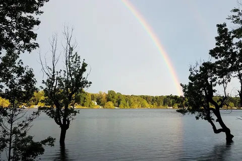 Nutbush Creek - Kerr Lake State Recreation Area