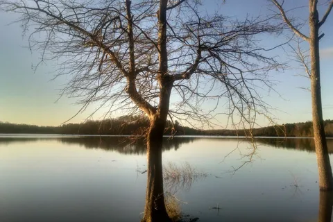 Nutbush Creek - Kerr Lake State Recreation Area
