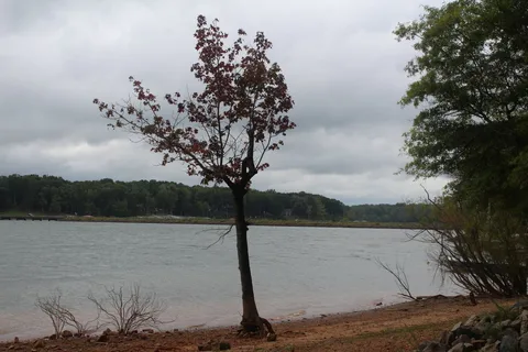 Nutbush Creek - Kerr Lake State Recreation Area