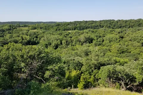 Horse Camp - Fort Ridgely State Park