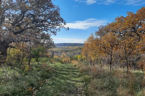 Horse Camp - Fort Ridgely State Park