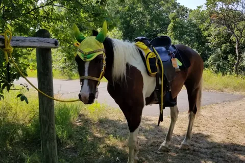 Horse Camp - Fort Ridgely State Park