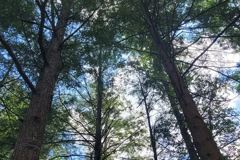 Lakeside Campground