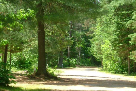 Algonquin Pines Campground
