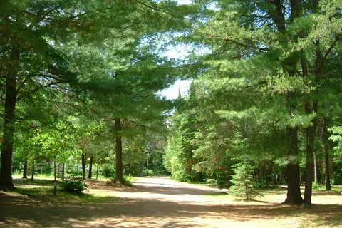 Algonquin Pines Campground