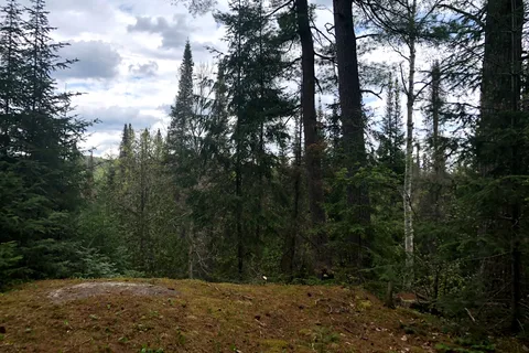 Algonquin Pines Campground