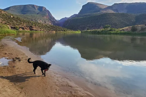 Gates of Lodore Campground - Dinosaur National Monument