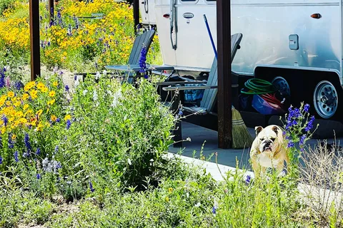 Marfa Yacht Club Airstream RV Park