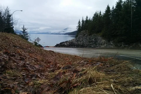 Shelter Bay - Arrow Lakes Provincial Park