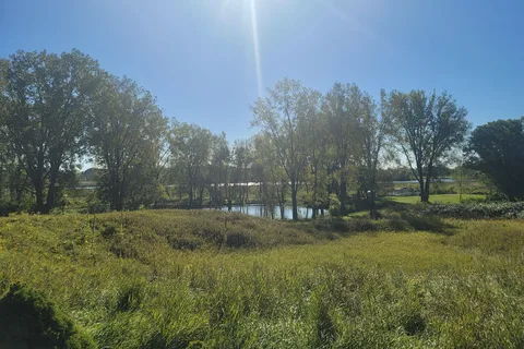 The Playful Goose Campground of the Horicon Marsh