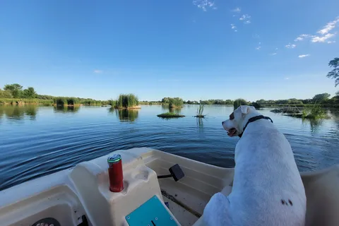 The Playful Goose Campground of the Horicon Marsh