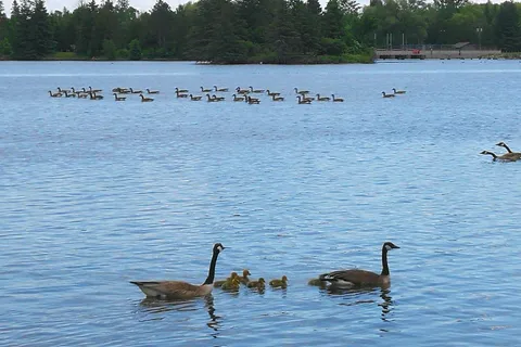 Earl Rowe Provincial Park