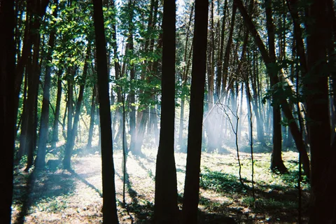 Earl Rowe Provincial Park