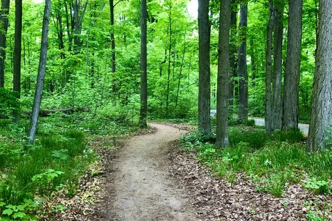 Earl Rowe Provincial Park