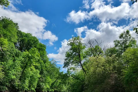 Cedar Creek RV Park and Outdoor Center
