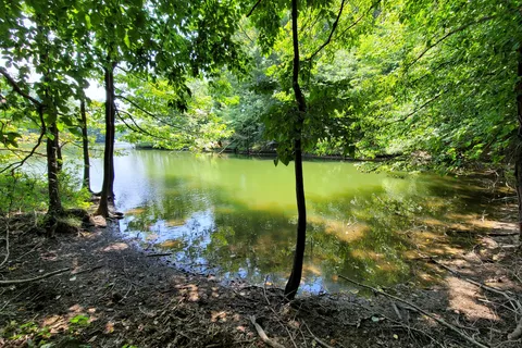 Village Creek State Park