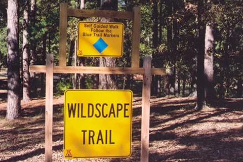 Texarkana KOA Journey