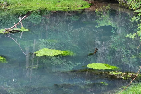 Onondaga Cave State Park