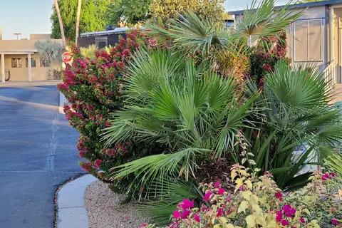 Del Pueblo RV Park and Resort