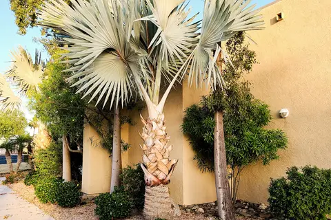 Del Pueblo RV Park and Resort