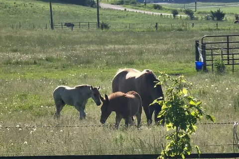 Hutchinson Family Farm Campground