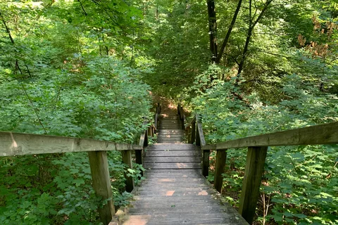 Indiana Dunes State Park