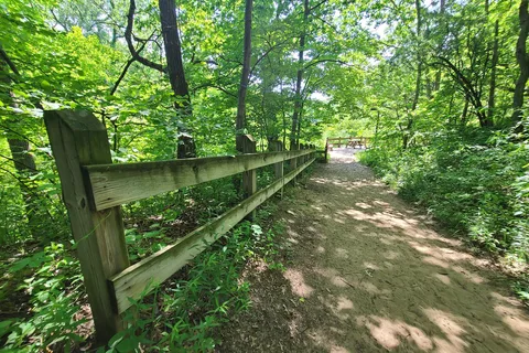 Indiana Dunes State Park