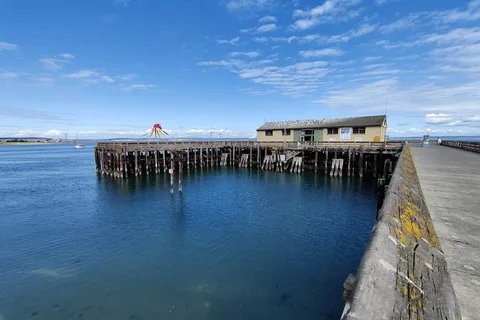 Fort Worden - Upper Forest
