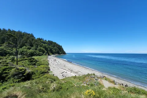 Fort Worden - Upper Forest