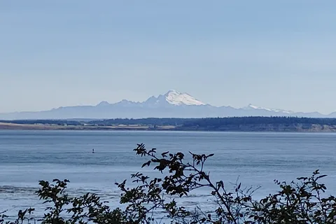 Fort Worden - Upper Forest