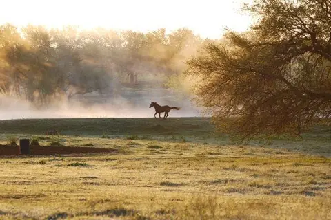 Hoof Prints Ranch