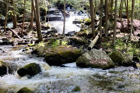 Belview Campground
