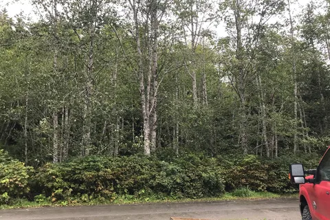 Prince Rupert RV Campground