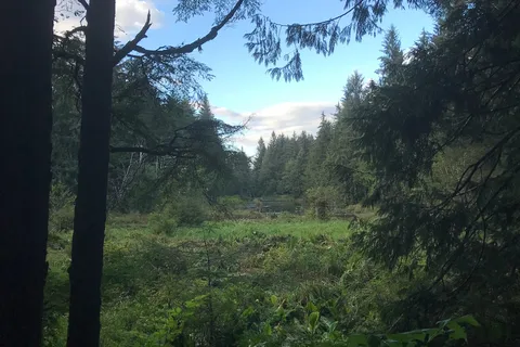 Prince Rupert RV Campground