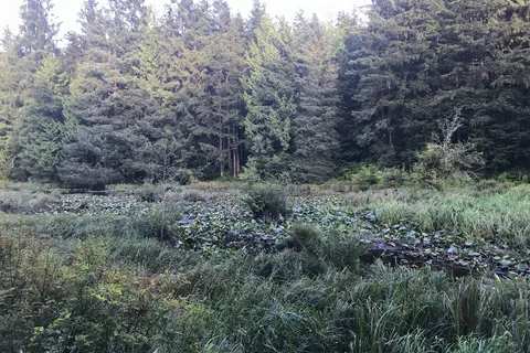 Prince Rupert RV Campground