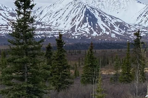 Cantwell RV Park and Cabins