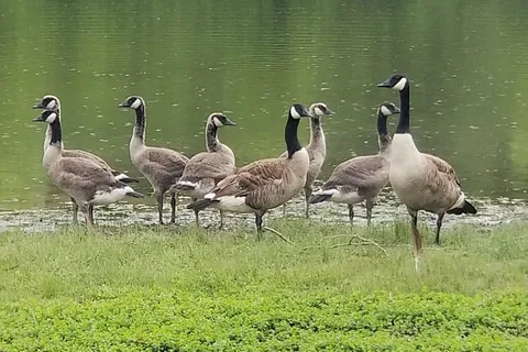 Indian Mountain State Park