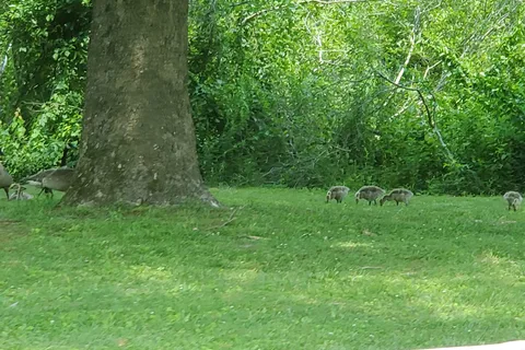 Indian Mountain State Park