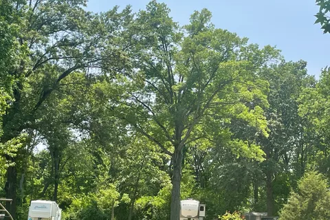 Old Bates Campground