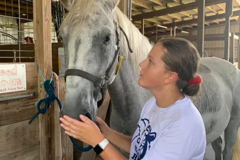 Diamond Oaks Farm