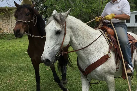 Diamond Oaks Farm