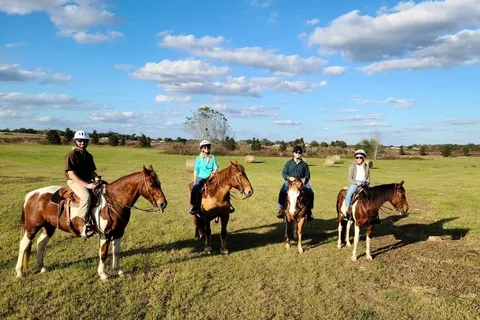 Diamond Oaks Farm