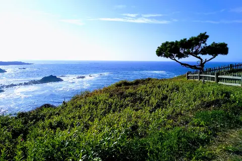 Fort Bragg Leisure Time RV Park