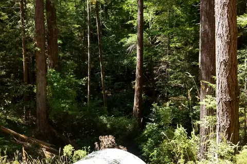 Fort Bragg Leisure Time RV Park